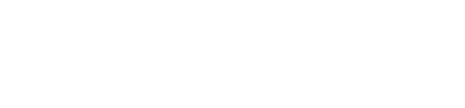 New Zealand Government Logo